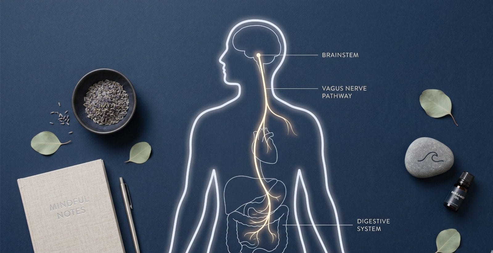 Nervous system regulation exercises for people who can’t meditate